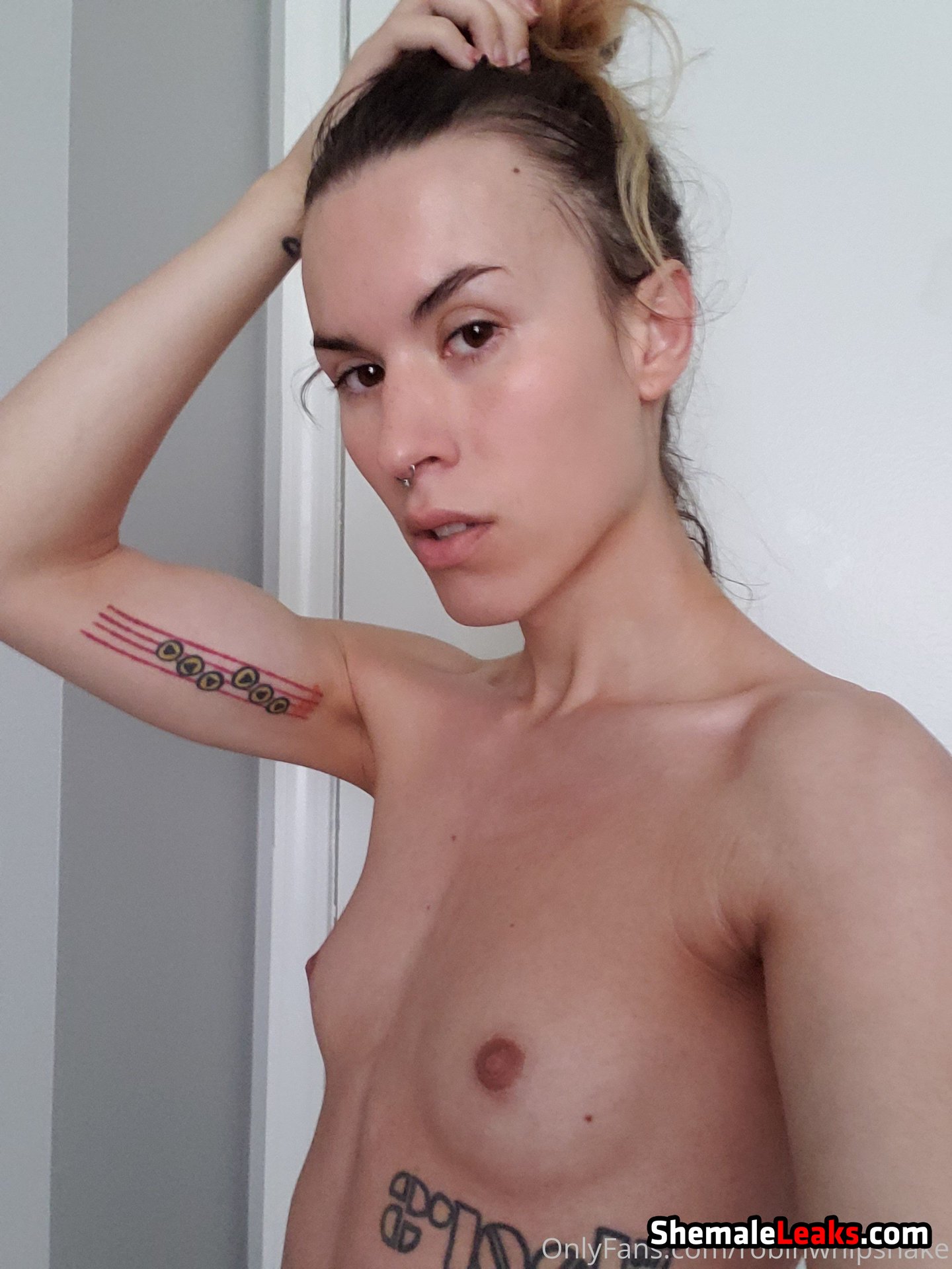 RobinWhipSnake OnlyFans Leaks (95 Photos and 9 Videos)