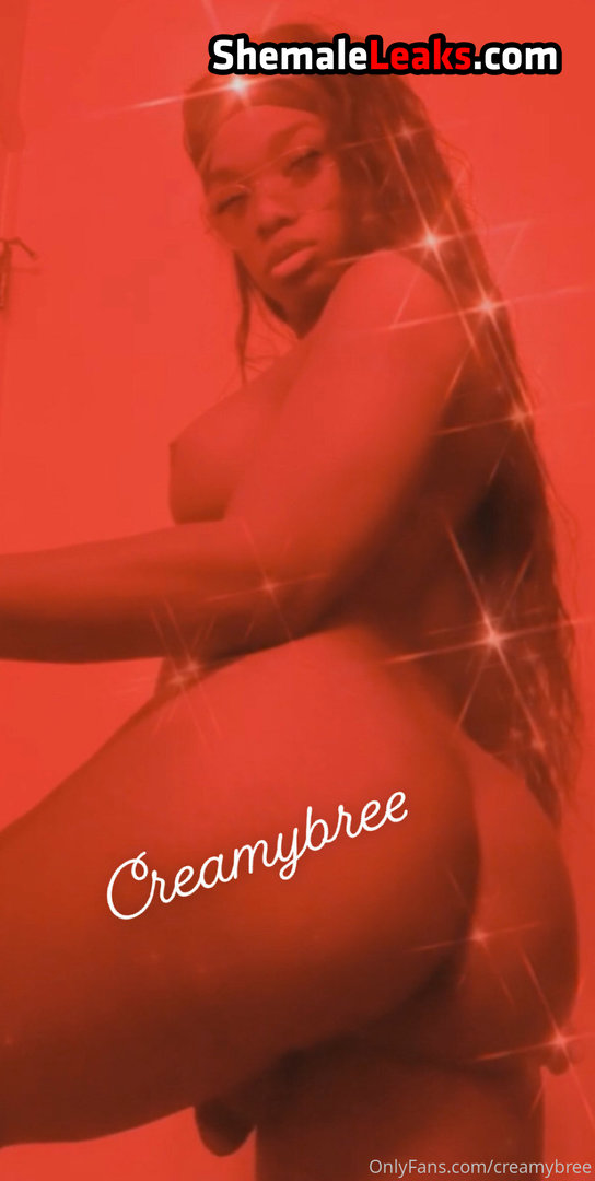 CreamyBree OnlyFans Leaks (32 Photos and 2 Videos)