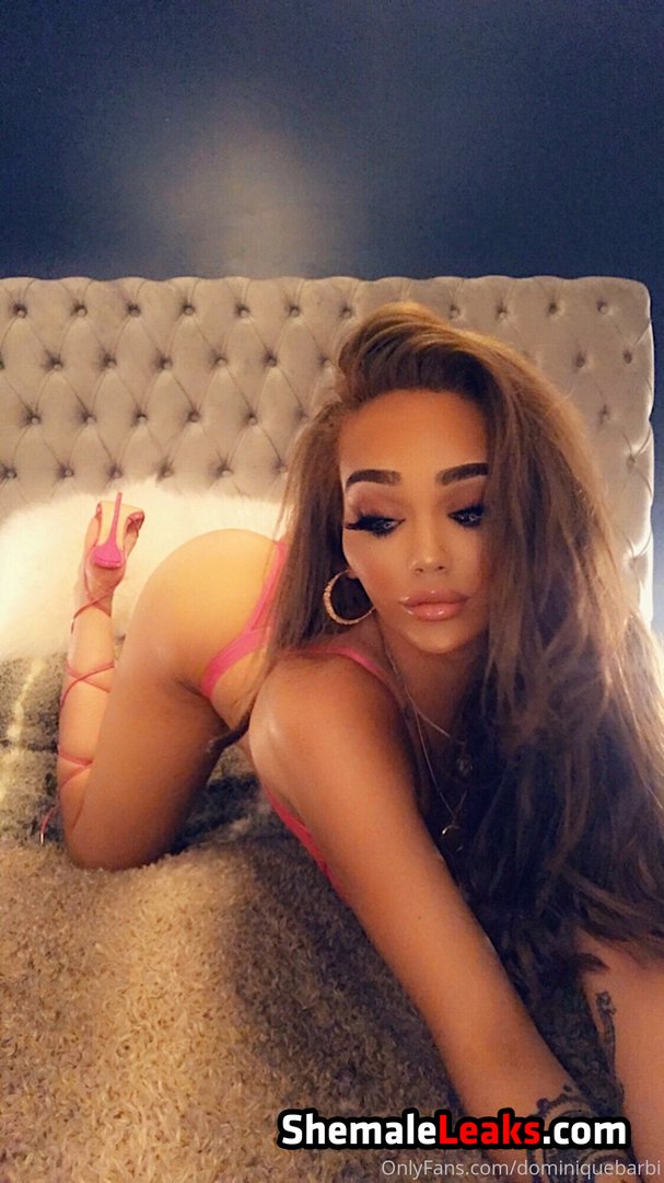 Dominique Barbi – TS Dominique OnlyFans Leaks (41 Photos and 3 Videos)