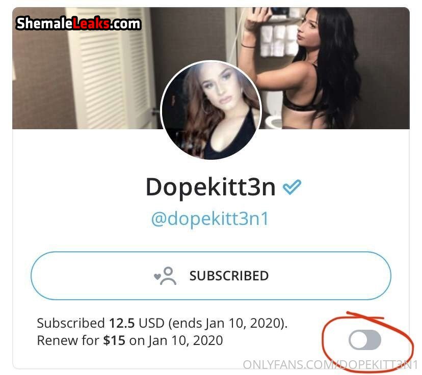Dopekitt3n – Dopekitt3n1 OnlyFans Leaks (51 Photos and 2 Videos)