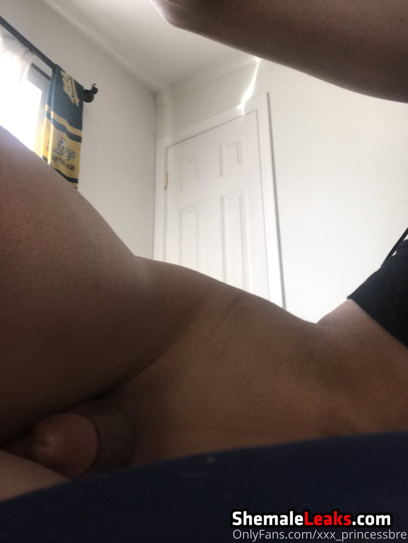 Princess Bre – worshipbrexo Onlyfans Leaks (11 Photos and 2 Videos)