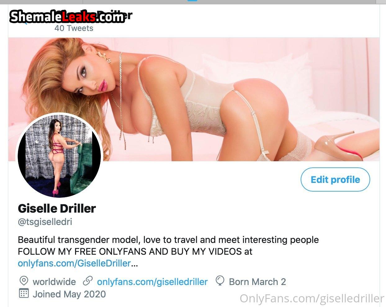 Giselle Driller – giselledriller OnlyFans Leaks (45 Photos and 4 Videos)