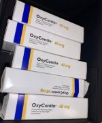 WhatsApp Image 2025-07-16 at 10.01.14.jpeg