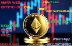 WhatsApp Image 2026-01-29 at 3.56.57 PM.jpeg WhatsApp Image 2026-01-29 at 3.56.57 PM.jpeg