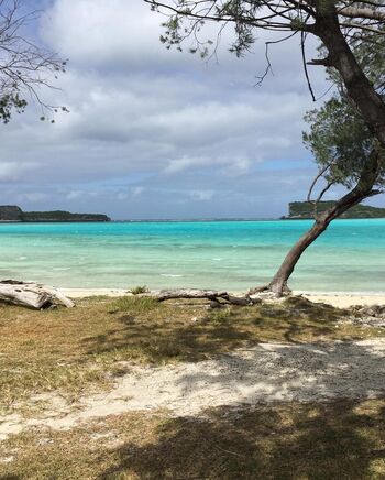 Adele_tsy Leaked Nude OnlyFans (Photo 20)