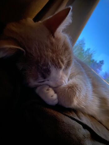 aelarose Leaked Nude OnlyFans (Photo 33)