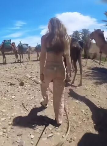 Affe auf Bike