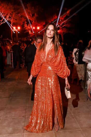 Alessandra Ambrosio Leaked Nude OnlyFans (Photo 1055)
