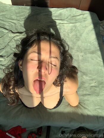 Alicatcua