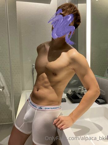 alpaca_bkk Leaked Nude OnlyFans (Photo 30)