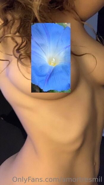 amortresmil