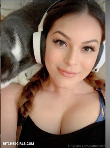 ASMR Puffin