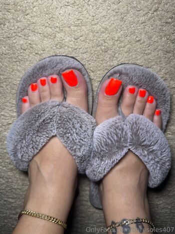 baresoles407