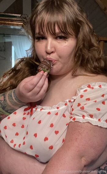 bunnycakesogfree
