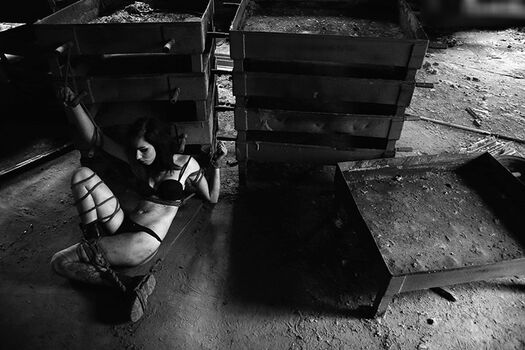 Calvato Photography - Patreon