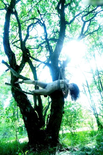 Calvato Photography - Patreon