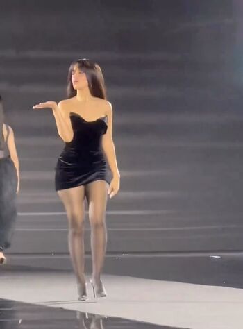 Camila Cabello Leaked Nude OnlyFans (Photo 1399)