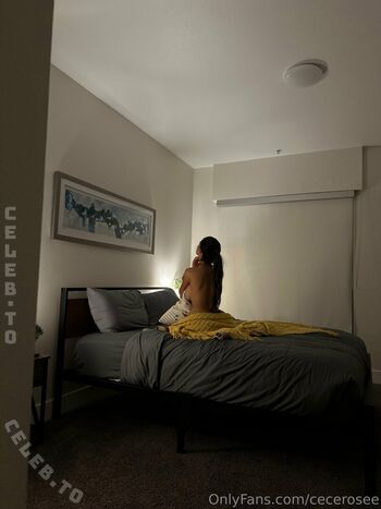 Cecilia Rose Leaked Nude OnlyFans (Photo 11)