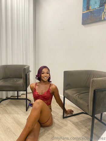 cecilia.suarez