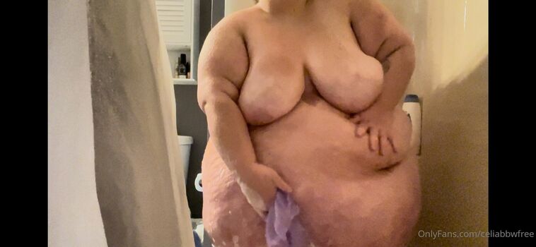 celiabbwfree Leaked Nude OnlyFans (Photo 16)