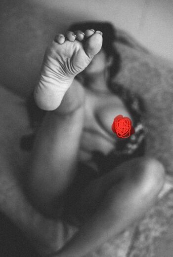 Chandrika Passionica