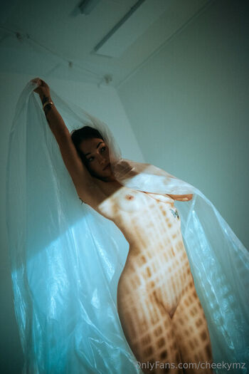 Cheekymz Leaked Nude OnlyFans (Photo 22)