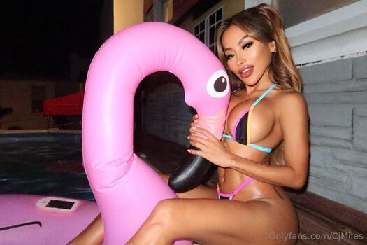 cjmilesvip Leaked Nude OnlyFans (Photo 25)