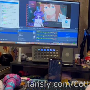 cottontailva