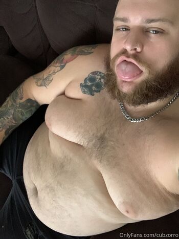 cubzorro