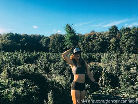 danceincannabis