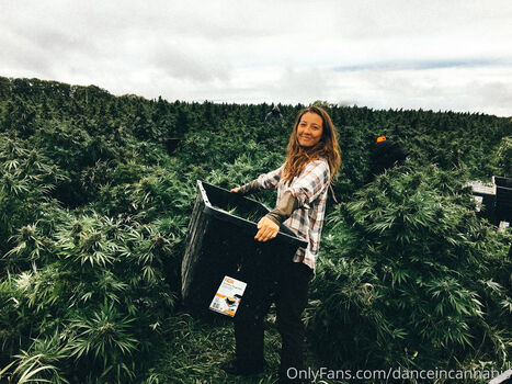 danceincannabis