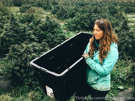 danceincannabis Leaked Nude OnlyFans (Photo 30)