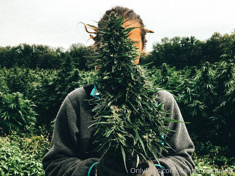 danceincannabis
