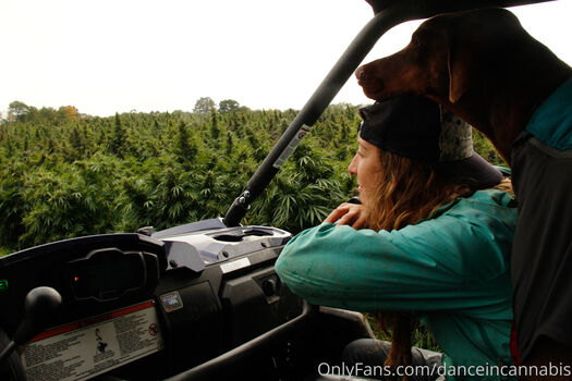 danceincannabis