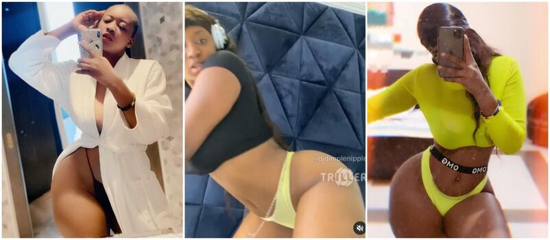 DJ Dimplenipple Leaked Nude OnlyFans (Photo 4)