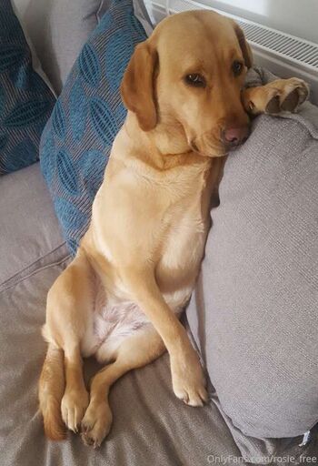 english_rosieUK
