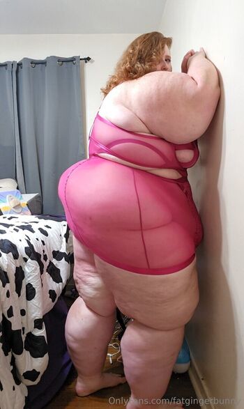 fatgingerbunny