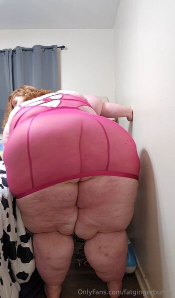 fatgingerbunny