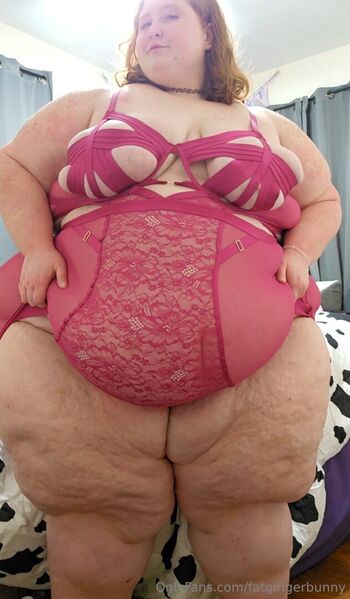 fatgingerbunny