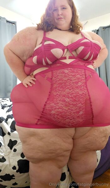 fatgingerbunny