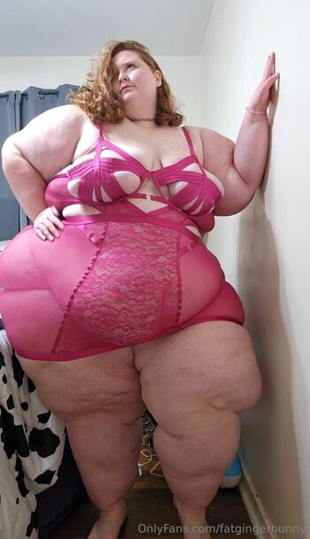 fatgingerbunny