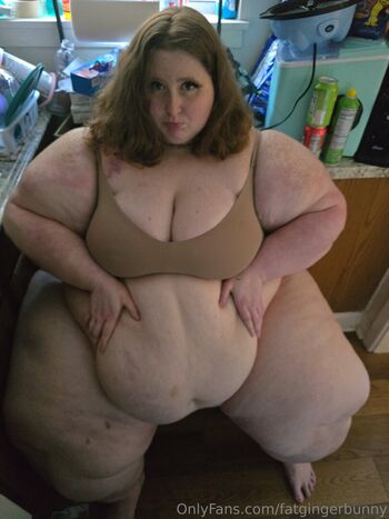 fatgingerbunny