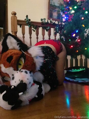 fox_anatomy