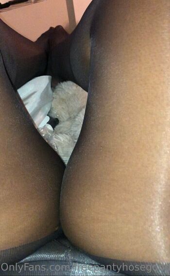 freepantyhosegoddess