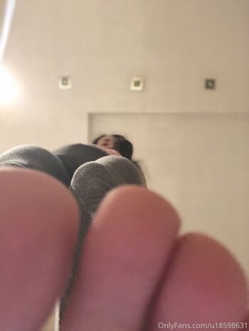 giantesselixs