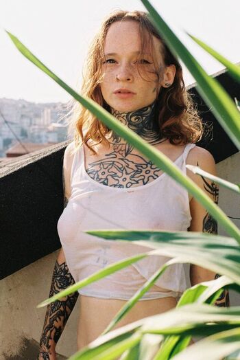 ginger_sweetness