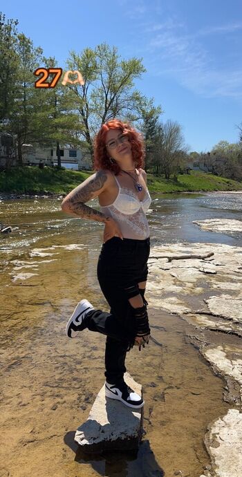 Gingiehippie