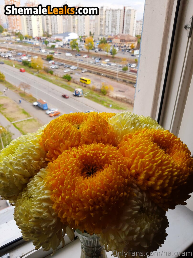 ha.gram Leaked Nude OnlyFans (Photo 13) - ShemaleLeaks