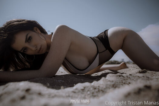 Harley Sinn