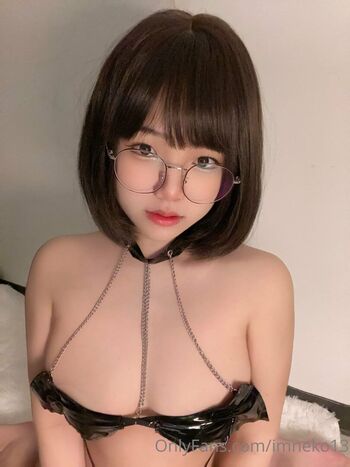 Imneko13